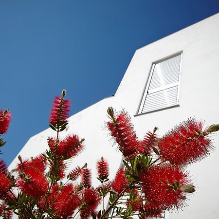 Canvas Apartments&Lofts Cadaques Exterior photo