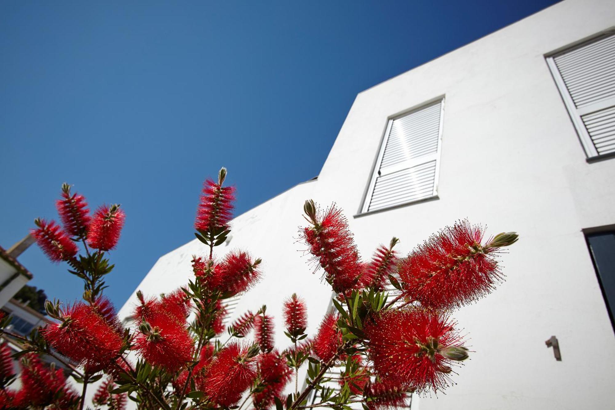 Canvas Apartments&Lofts Cadaques Exterior photo